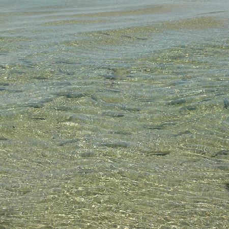 Gasthaus Pension Zur Nixe Steinbach am Attersee Luaran gambar