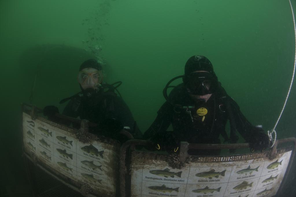 Gasthaus Pension Zur Nixe Steinbach am Attersee Luaran gambar