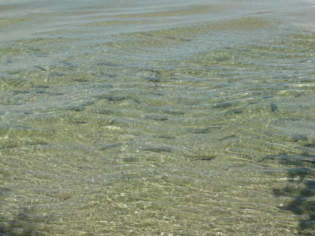 Gasthaus Pension Zur Nixe Steinbach am Attersee Luaran gambar