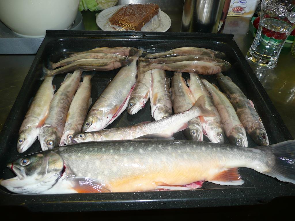 Gasthaus Pension Zur Nixe Steinbach am Attersee Luaran gambar