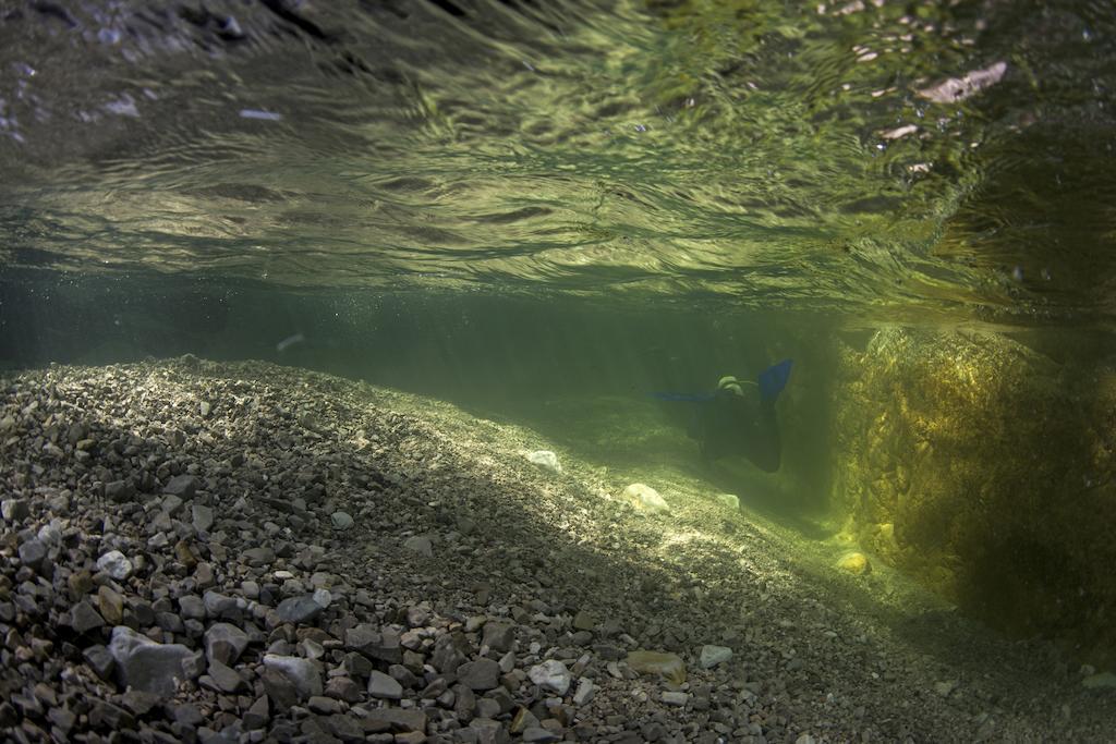 Gasthaus Pension Zur Nixe Steinbach am Attersee Luaran gambar